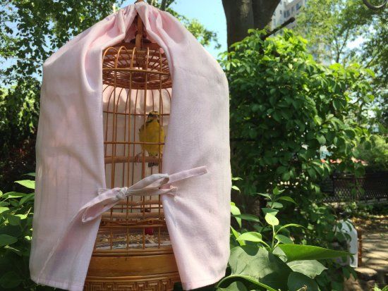 Park im. Sary D. Roosevelt